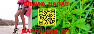 гидропоника Можга