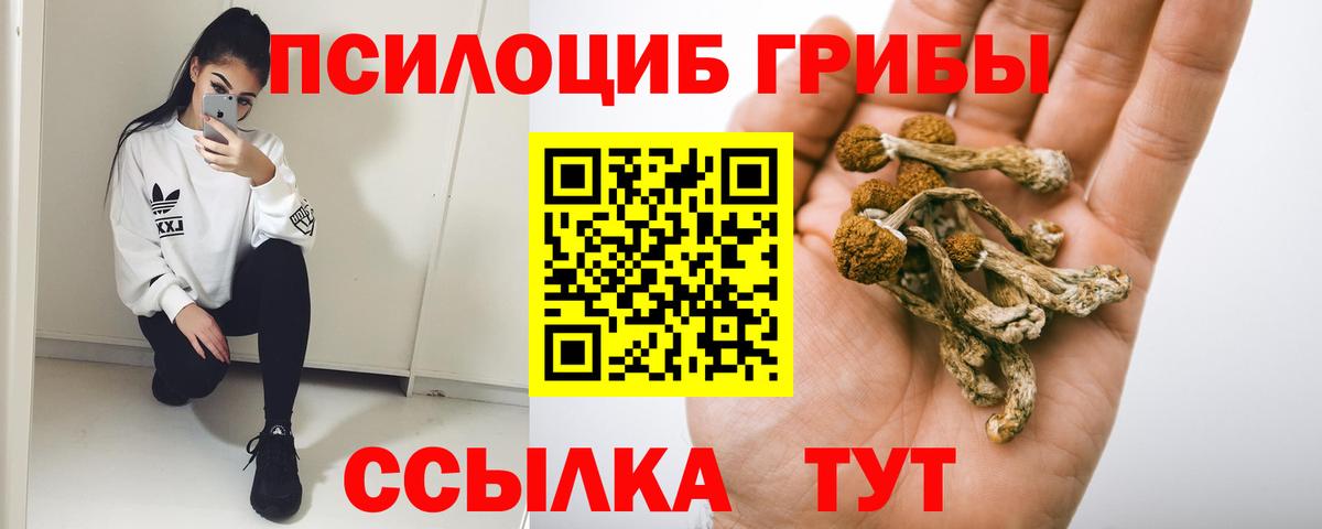 Балашиха  Псилоцибиновые грибы GOLDEN TEACHER  Вход с VPN  Галлюциногенные грибы MAGIC MUSHROOMS 